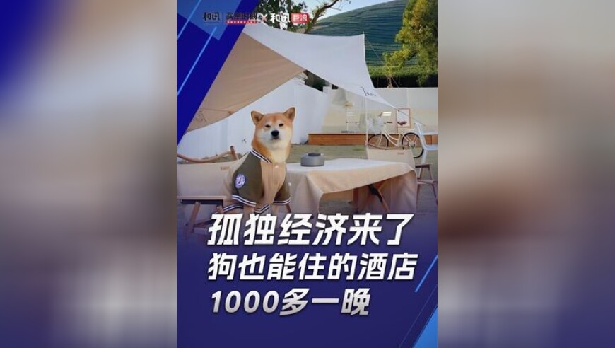年轻人为何涌入社区食堂,2025新奥历史开奖记录99979,整体规划执行讲解_豪华版V10.32